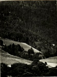 Standpunkt Villa Moll Brixen, Probeaufnahme mit der Scherenfernrohrkamera (BildID 15420325)