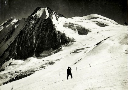 Standpunkt Weg nach Cercen, Presanellagletscher, Cima Vermiglio, Presanella 3564. (BildID 15425201)
