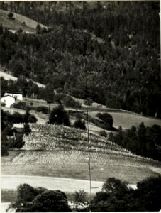 Standpunkt Villa Moll Brixen, Probeaufnahme mit der Scherenfernrohrkamera (BildID 15420318)