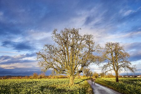 Nature clouds landscape