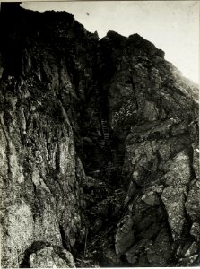 Standpunnkt Weg von Lago di Lai-Litigosa, Künstlich angelegter Leiterweg. (BildID 15428663)