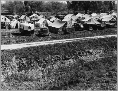 Stanislaus County, San Joaquin, California. Labor contractor's camp for field labor during the pea h . . . - NARA - 521710 photo