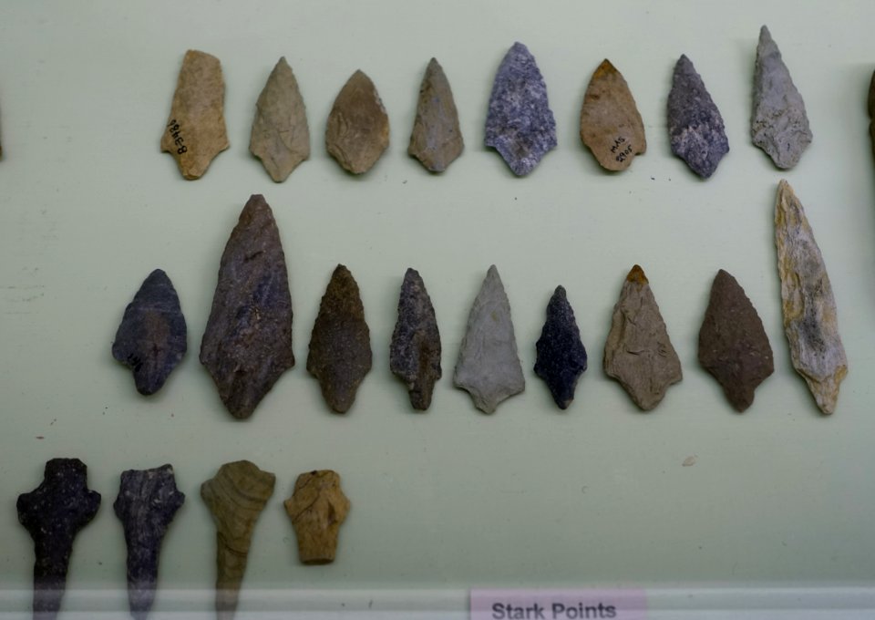 Stark points - Middle Archaic collection - Robbins Museum - Middleborough, Massachusetts - DSC03794