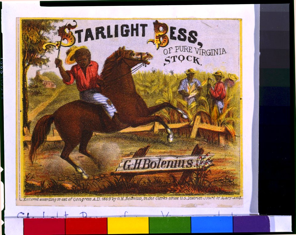 Starlight Bess, of pure Virginia stock LCCN95505079