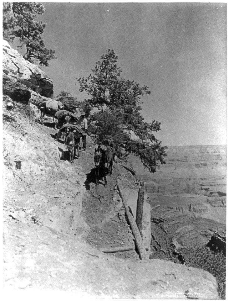 Starting down Grand View Trail, Grand Canyon of Arizona LCCN2004667560