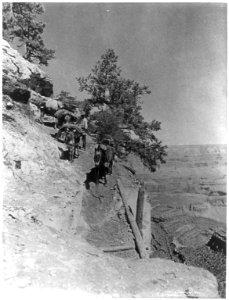 Starting down Grand View Trail, Grand Canyon of Arizona LCCN2004667560