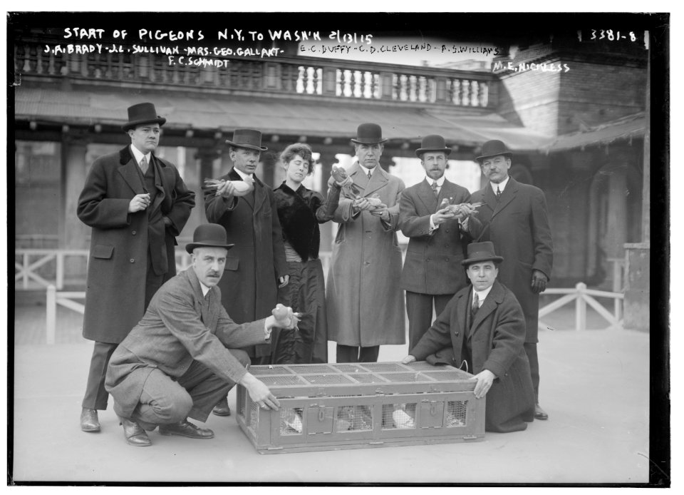 Start of pigeons N.Y. to Wash'n, 2-13-15 -- J.A. Brady, J.L. Sullivan, Mrs. Geo. Gallant, F. (Fred) C. Schmidt, E.C. Duffy, C.D. Cleveland, A.S. Williams, M.E. Hickless LCCN2014698436
