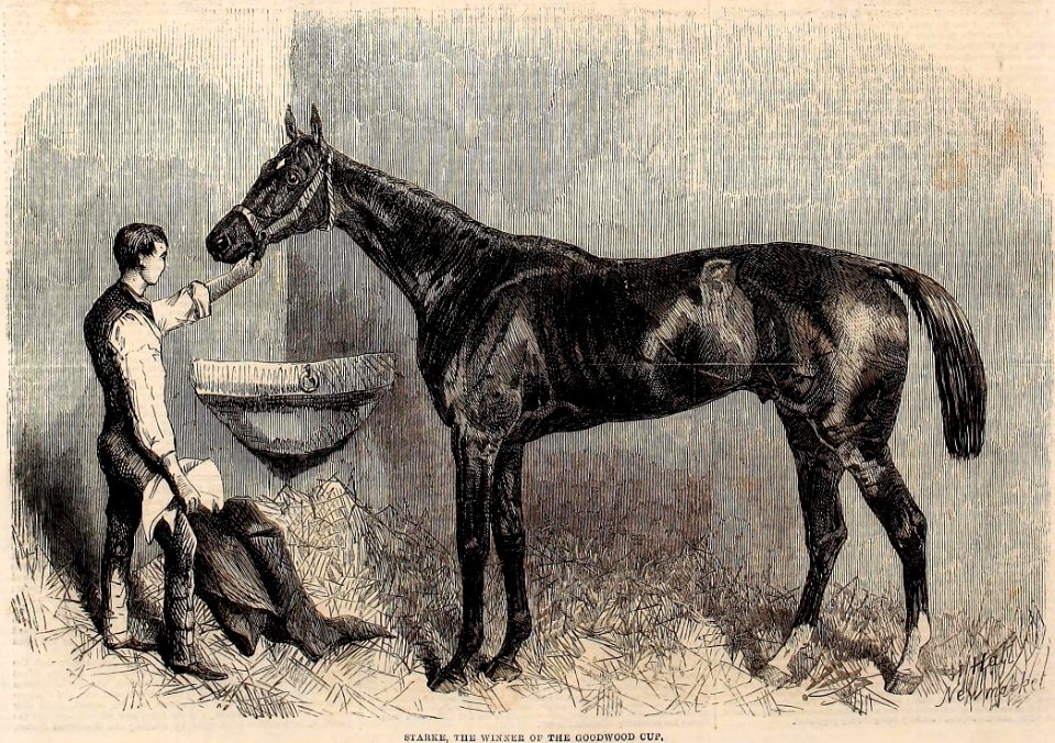Starke, the winner of the Goodwood Cup, 1861 - ILN 1861 (14776709471) (cropped)