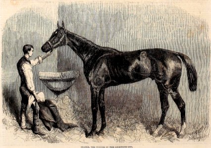 Starke, the winner of the Goodwood Cup, 1861 - ILN 1861 (14776709471) (cropped) photo