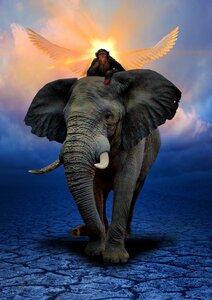 Monkey animals ivory