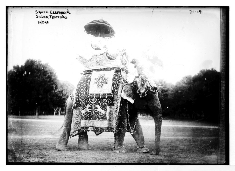 State elephant adorned with silver trappings, India LCCN2014680372