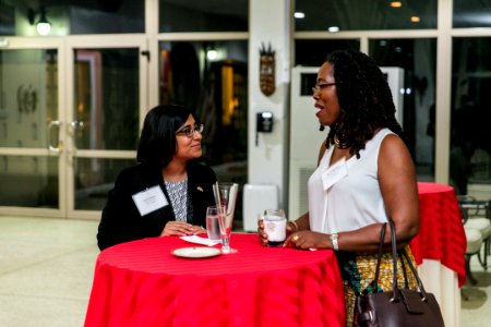 State Department Global Women’s Mentoring Partnership Alumnae Reception - 37747713324