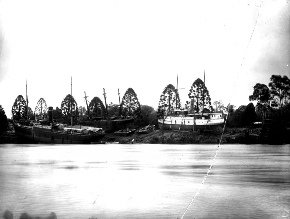 StateLibQld 1 137703 Brisbane floods, 1893
