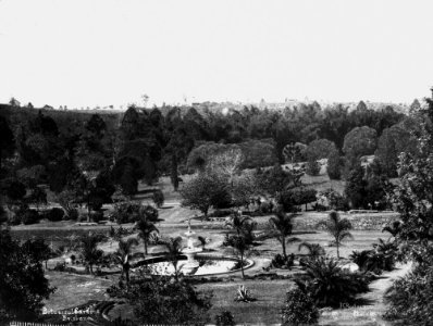StateLibQld 1 137875 Looking across the Botanic Gardens, Brisbane, ca. 1891