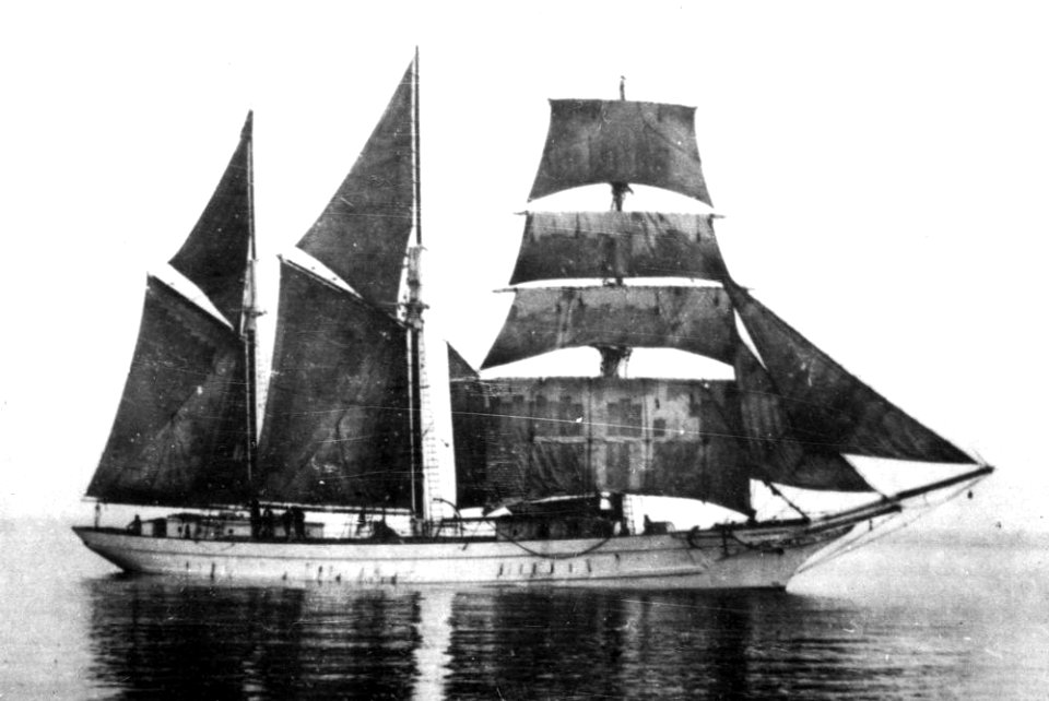 StateLibQld 1 116272 Southern Cross (ship)