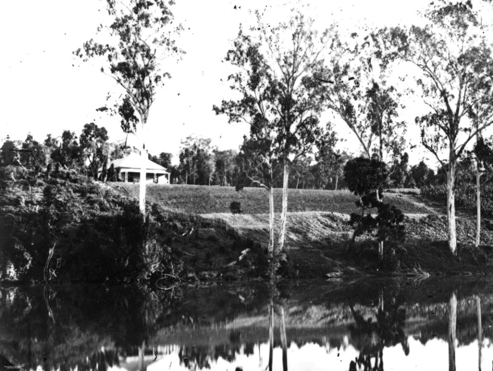 StateLibQld 1 137083 Cleared scrubland, Mary River, Queensland
