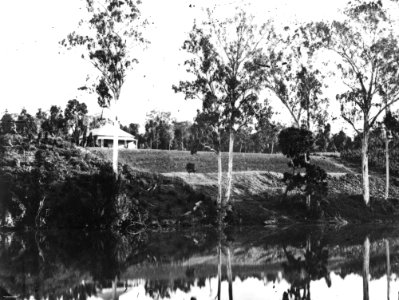 StateLibQld 1 137083 Cleared scrubland, Mary River, Queensland
