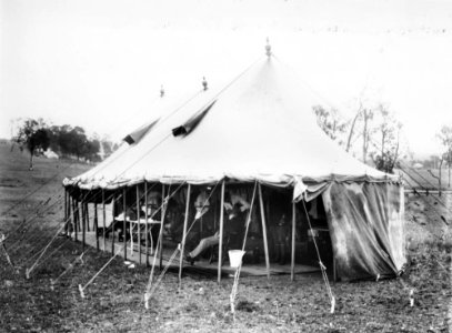 StateLibQld 1 137691 Army barbers preparing new recruits for their life in the forces, 1914 photo