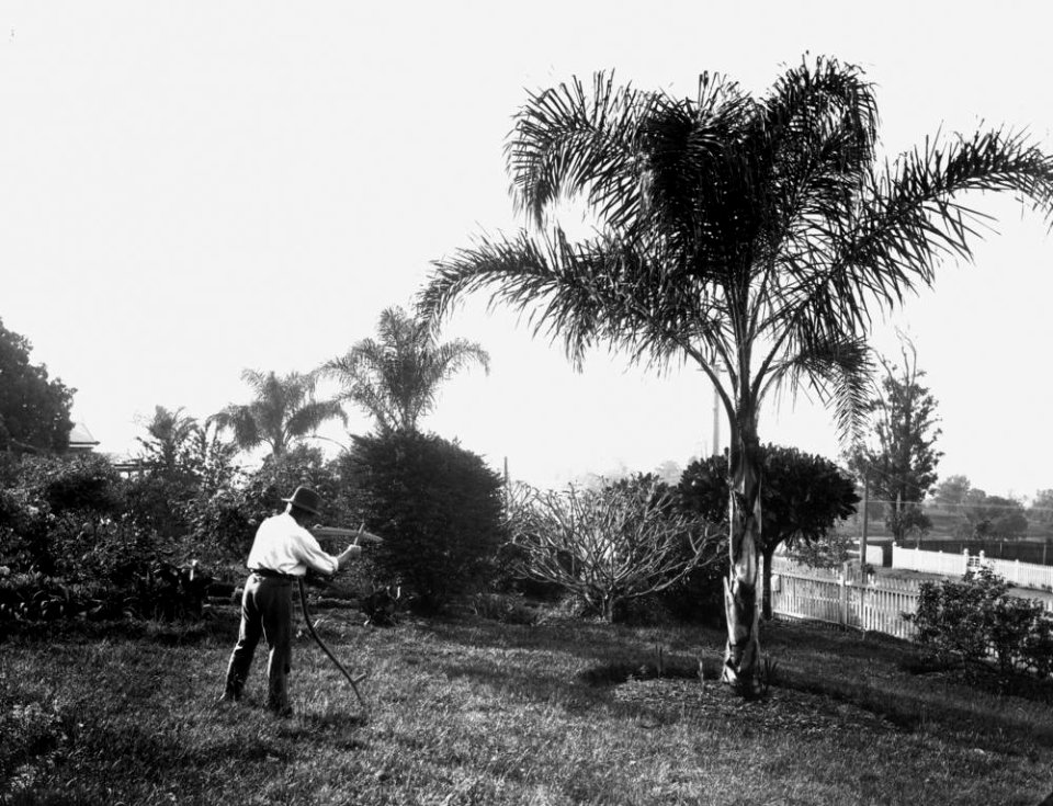 StateLibQld 1 137943 Preparing to cut the grass with a scythe, ca. 1910