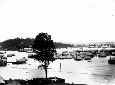 StateLibQld 1 137747 Brisbane floods, 1893 photo