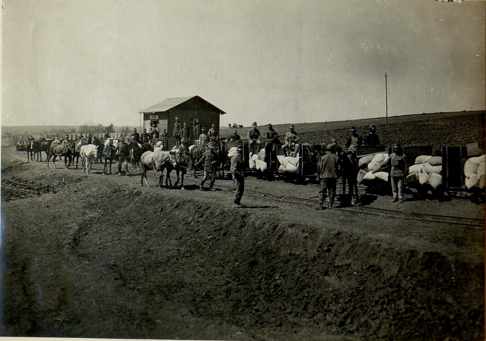 Station Zahajce der Feldbahn (BildID 15524369)