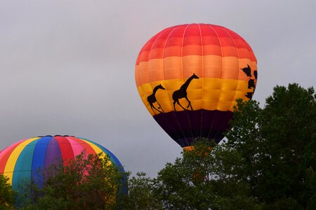 Hot air balloons travel colorful