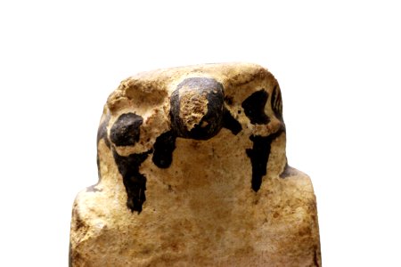 Statuette of falcon-MAHG D 220-IMG 1869-white