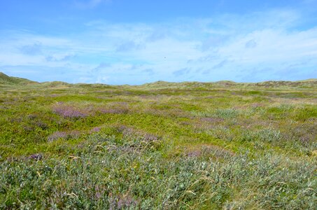 North sea summer coast photo