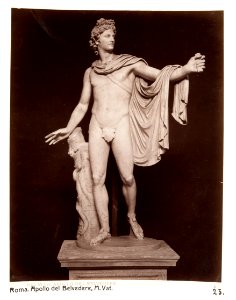 Staty av Apollo. Apollo di Belvedere - Hallwylska museet - 107533