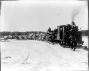 Steam hauler, Park Rapids, Minnesota LCCN2012647883