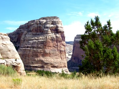 Steamboat Rock, Dinosaur