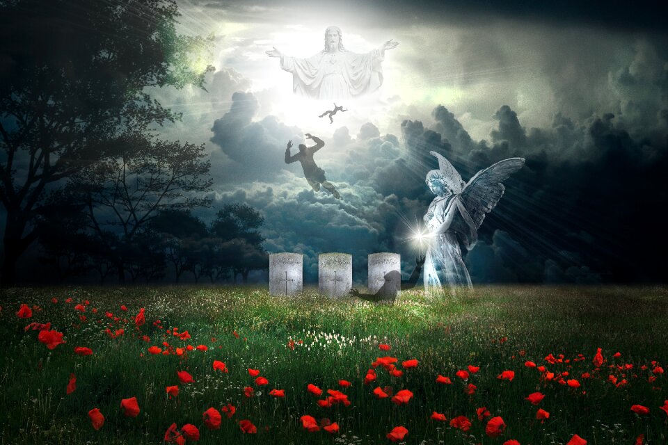 War graves soldiers poppies