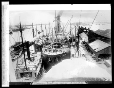 Steamer loading sugar alongside dock in Honolulu, (Hawaiian Islands); cargo capacity 12,000 tons. The small steamers are discharging sugar into large one. LCCN2016824519