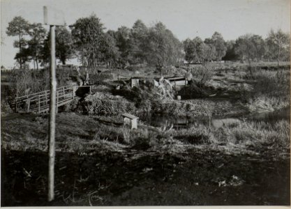 Steg über die Boldurka bei Landsturminfanterieregiment 22 (BildID 15444314)