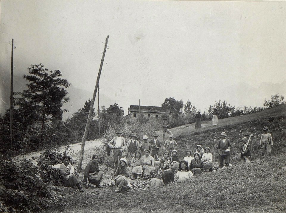 Steinbrechergruppe. (BildID 15669364)