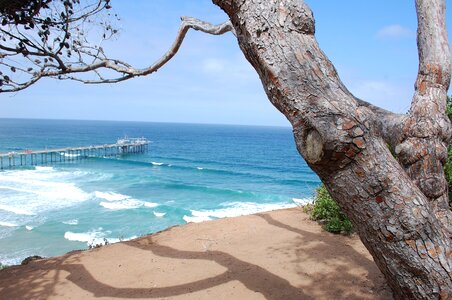 La jolla san diego beach