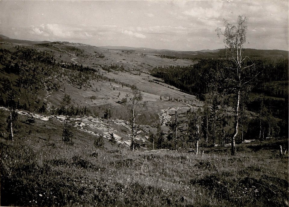Stell.im Valeputnatal (BildID 15719469)