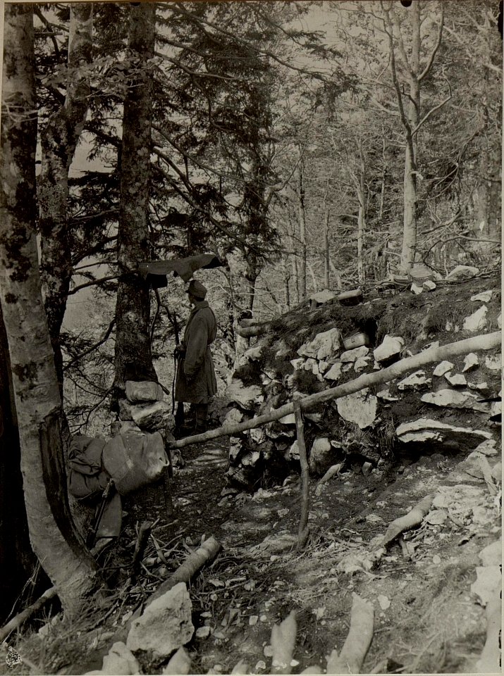 Stellung am JAVORCEK, Osthang. Aufgenommen am 27. Juli 1916. (BildID 15478745)