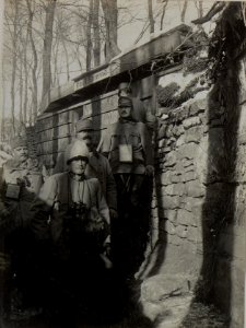 Stellung des Infanterie Regiments Nro.l, im Vordergrunde Sr. Exzellenz F.Z.M. von BENIGNI. (BildID 15448058)