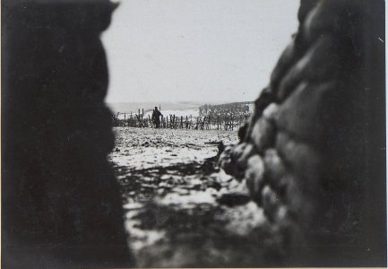 Stellung bei Bieniawa, Blick aus einer Geschützschiessscharte (BildID 15439455)