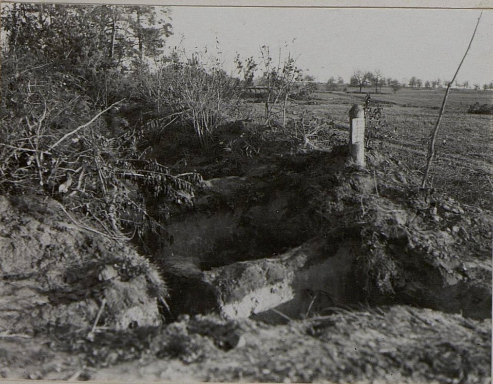 Stellung an der Waldlisiere um die heftig gekämft wurde, Kol Dubrowa (BildID 15456675)