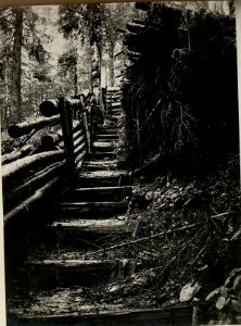 Stellung der 32. Jäger auf der Tatarowka (BildID 15525279)