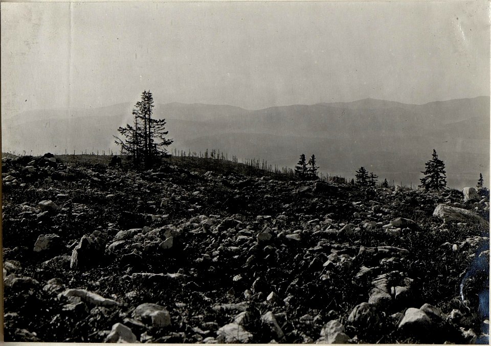 Stellung auf Monte Zebio ¤ 1819 (BildID 15626475)