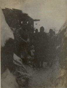 Stellung bei IR.54. (BildID 15451706)