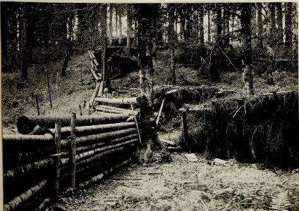 Stellung der 32. Jäger auf der Tatarowka (BildID 15525307)