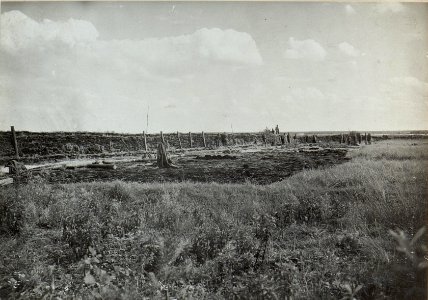 Stellung der 4. Eskadron der Kavallerieschützendivision12 vor dem Walde westl. Sestratyn, da der Sumpf ein eingraben nicht gestattet, besteht die Brustwehr aus Rasenziegel (BildID 15443512)