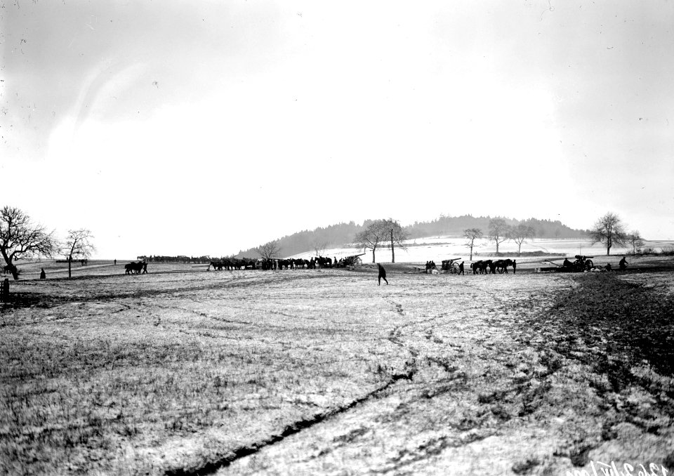 Stellung von Haubitzen während des Manövers - CH-BAR - 3237869