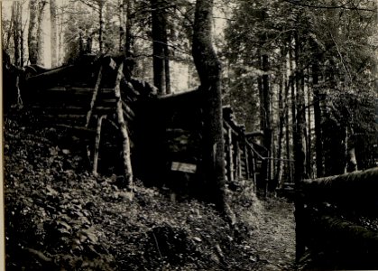Stellung der 32. Jäger auf der Tatarowka (BildID 15525300)