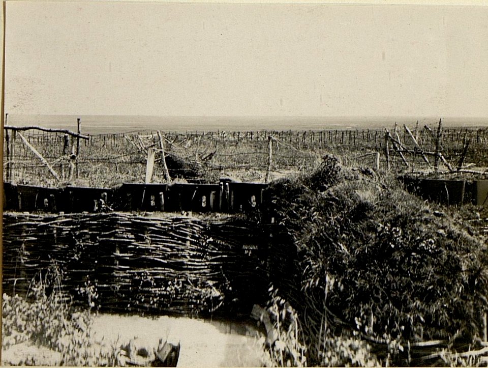 Stellungen bei Feldjägerbataillon 32 an der Strypa (BildID 15527492)