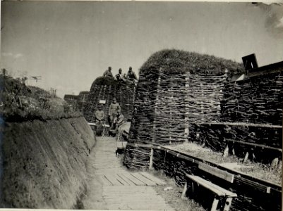 Stellungspartie des ersten Bataillons des Infanterieregimentes 75 beim Abschnitt Kreuz 363, südlich von Gebrow, aufgenommen am 2. Juni 1916 (BildID 15541953)